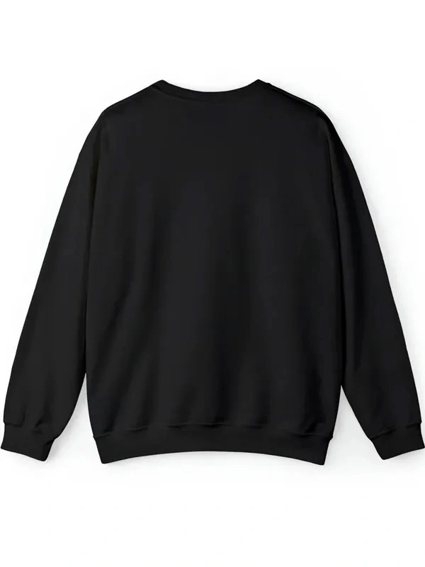 Buy Fairy Cat Pumpkin Black Sweatshirt